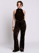 Celestial Velvet Flares