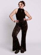 Celestial Velvet Flares