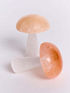 SELENITE MUSHROOM